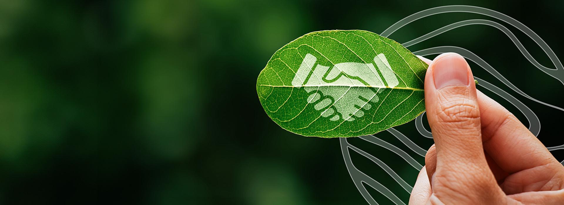 Foto Banner
