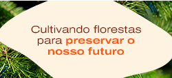 Imagem florestas